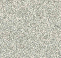 Taralay Premium Compact